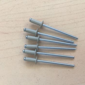 Buildex Rivets (1000) - Zincalume
